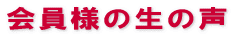 �A�X�����̗��p����